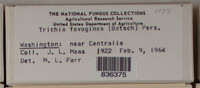 Image Associated With the Occurence
